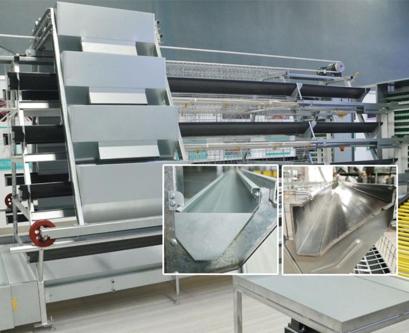 Export of Automatic Fast-Build Steel Poultry Equipment to The World