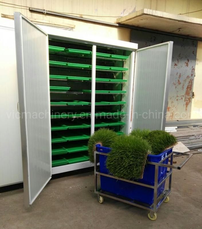 50kg/d Hydroponic Barley Fodder Gralic Growing Machine