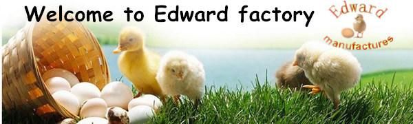 Ce Approved Automatic Egg Incubator for Hatching 264 Eggs (EW-5)
