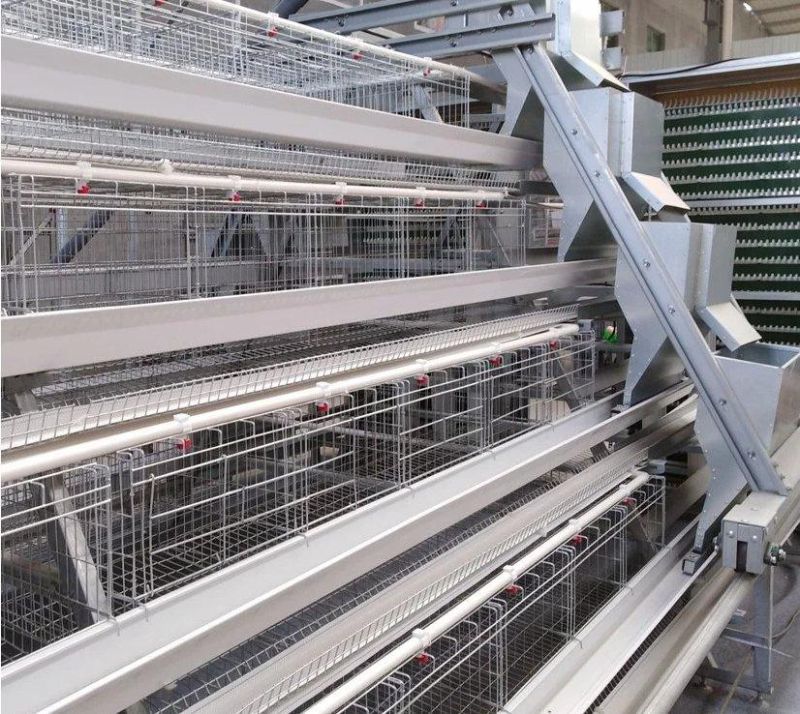 Poultry Equipment Type a Stepped Laying Chicken Cage