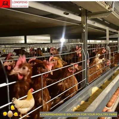 Automatic Chicken Cage Farming Equipment Local After-Sale Service in Asia Poultry Farms Coop