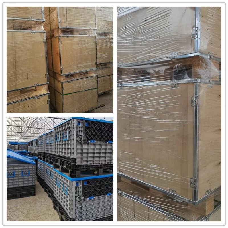 Qingdao Ruilan Customize Compact Tractor Pallet Forks Log Fork Grapple Fork for Loader Tractor Excavator