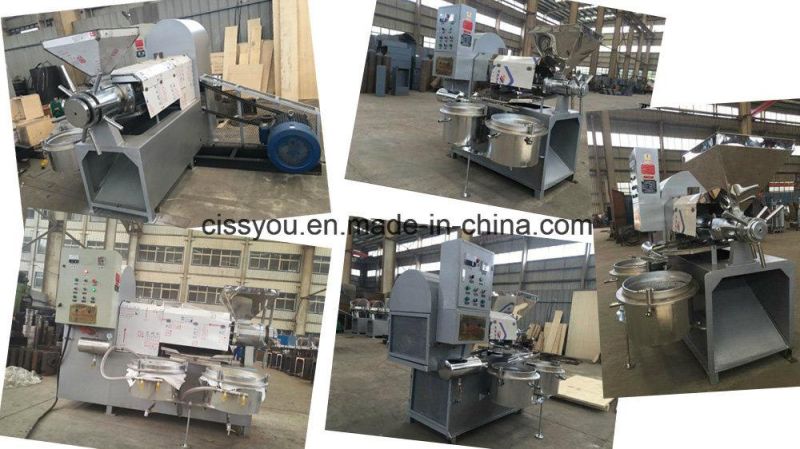 Hydraulic Peanut Sesame Soybean Seeds Oil Press Processing Machine (WS6YL)