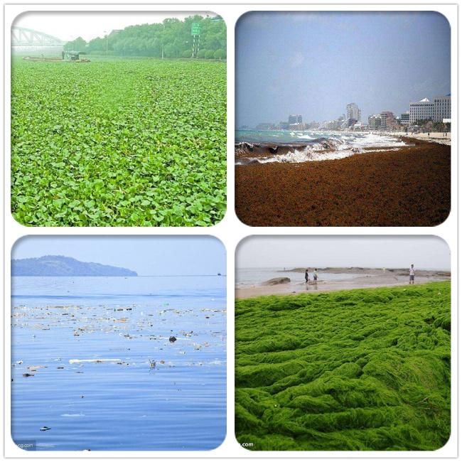 High Efficiency and Low Consumption River Weeding Equipment