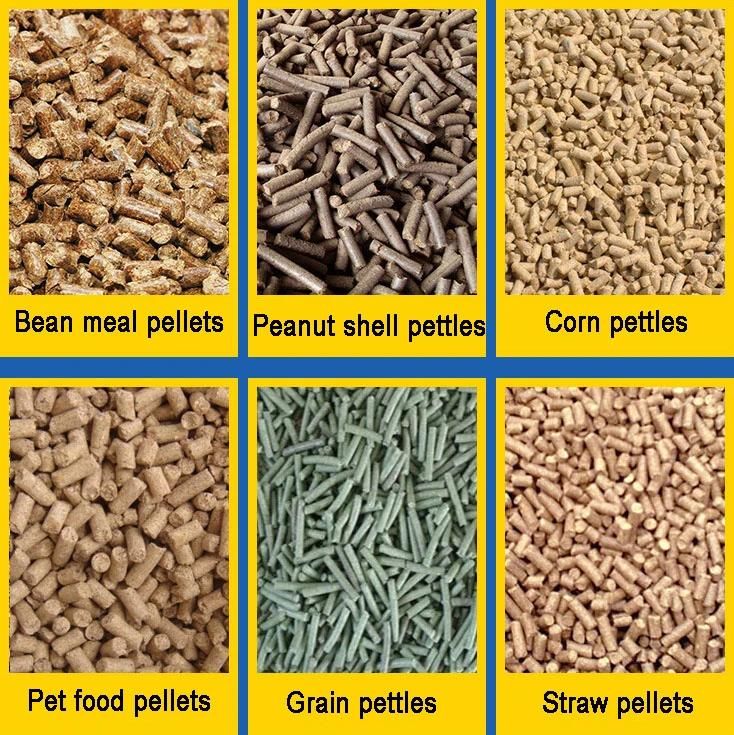 Poultry Pellet Feed Machine Animal Feed Pellet Machine Pelletizer 200kgs Machine for Animal Feeds