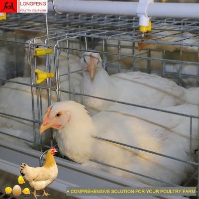 Longfeng Professional Chicken Cage with High Quality