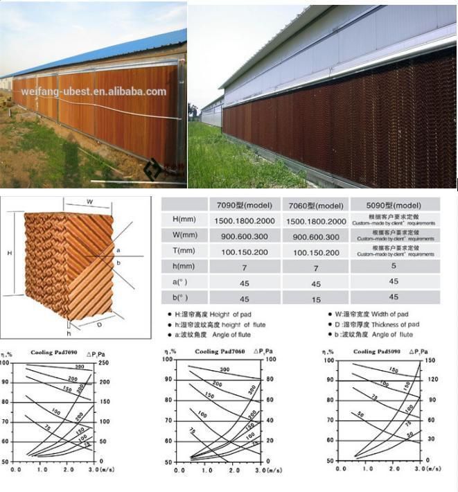 Professional Design Automatic Controling Poultry Farm Equipment for Broiler Chicken House