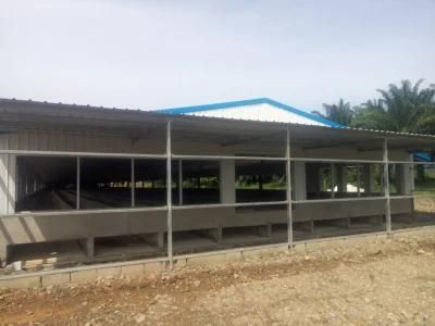 Philippine Free-Rage Broiler Chicken Steel Structure House