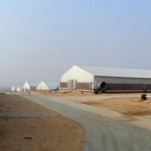 Prefab Poultry Sheds and Full Set Equipment for One Stop Service