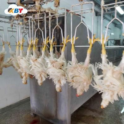 Chicken Plant Slaughter Production Line