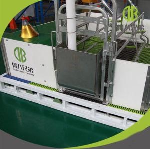 China Pig Farm Farrowing Crate Pig Breeding and Farrowing Crate