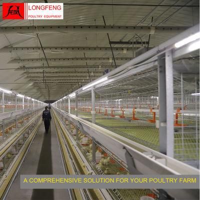Provide on-Site Installation Instruction Professional Dairy Machine Broiler Chicken Cage