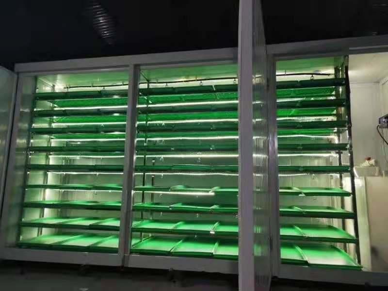 Customized Full Auto Hydroponic Growing Systems With 150kg/d