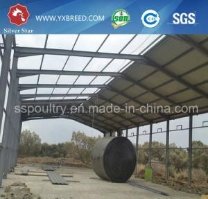 Poultry House with Cage Equipment