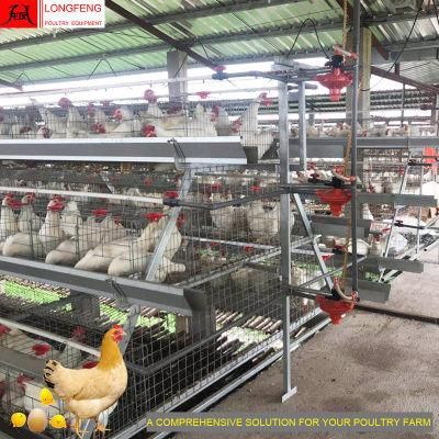 Longfeng New China Feeding Equipment Egg Chicken Poultry Farm Cage with Good Price