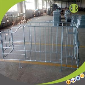 Easy-Installed High Quality Gestation Stall / Individual Stall for Maternity