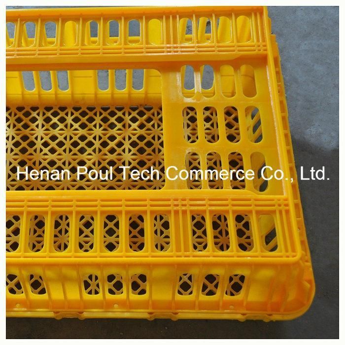 Plastic Chicken Transportation Cage for Chicken