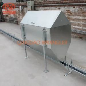 New design Poultry Farm House Design Poultry Chain Feeding System