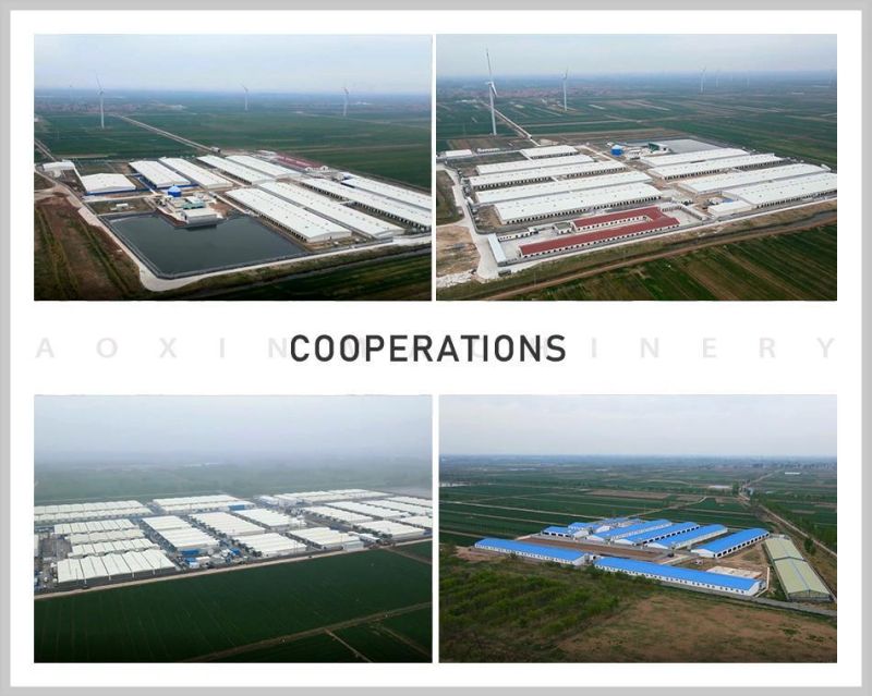 Pig Farm Equipment Growing Pig Nursery Pen for Sale