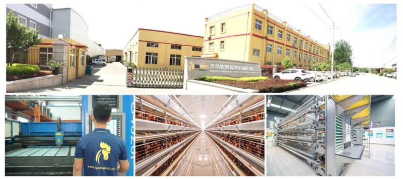 Poultry equipment manufacturer broiler farm chicken cage with 20 years experience