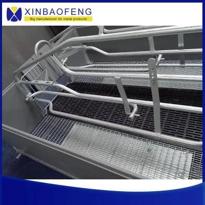 Made in China Supplier Sale Pig Farrowing Pen