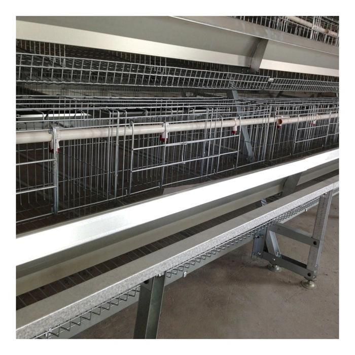 a Type Layer Chicken Battery Cage in Poultry Farm Hot Sale in Nigeria Kenya Zambia Uganda Tanzania