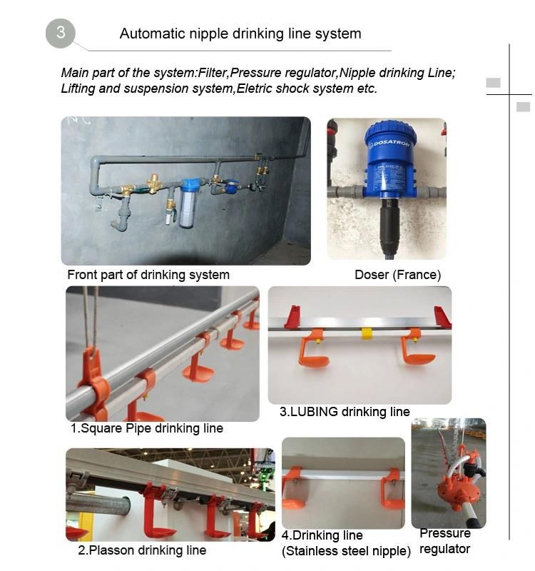 Complete Automatic Chicken House Equipment for Poultry and Broiler Farm Shed