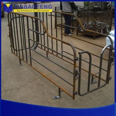 Made-in-China Galvanized Steel Pipe Pig Pregnancy Box Insemination Booth Pig Equipment Pregnancy Stall