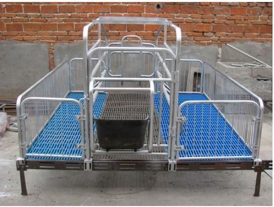 High Quality Pig Farrowing Crate /Pig Crate for Sow