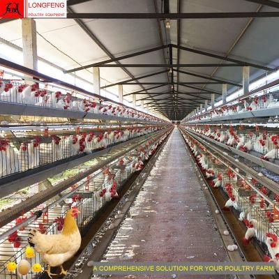 Factory Price 15-20years Longfeng China Equipment a Type Poultry Farm Egg Chicken Cage