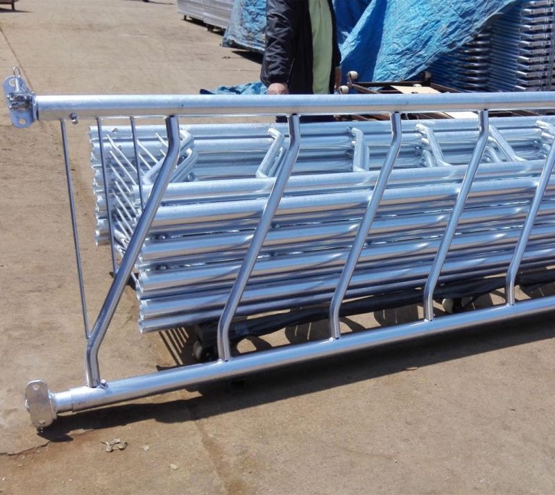 Cattle Feeding Barriers Used Cow Feeder Panel