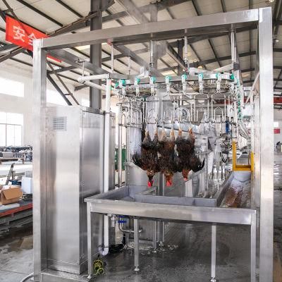 Compact 1000bph Chicken Slaughtering Assembly Slaughter Line