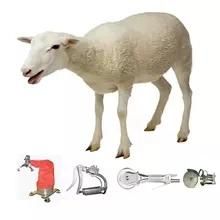 Halal Lamb Slaughter House Equipment for Sheep Butcher Abattoir