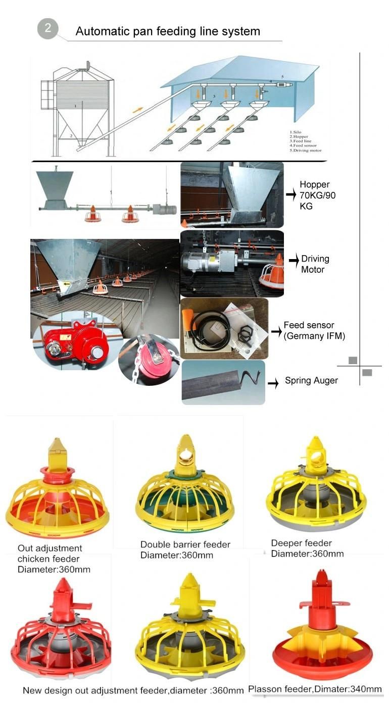 Complete Automatic Chicken House Equipment for Poultry and Broiler Farm Shed