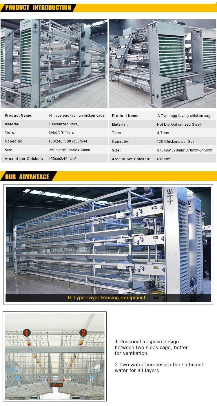 Automatic H Type Poultry Battery Cage for Layer Chicken Poultry Farm