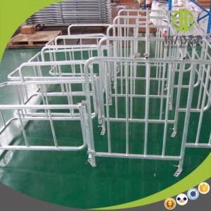 Hot DIP Galvanized Pig Gestation Stall for Sales