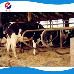 Heavy Duty Cow and Cattle Stall Free Sample