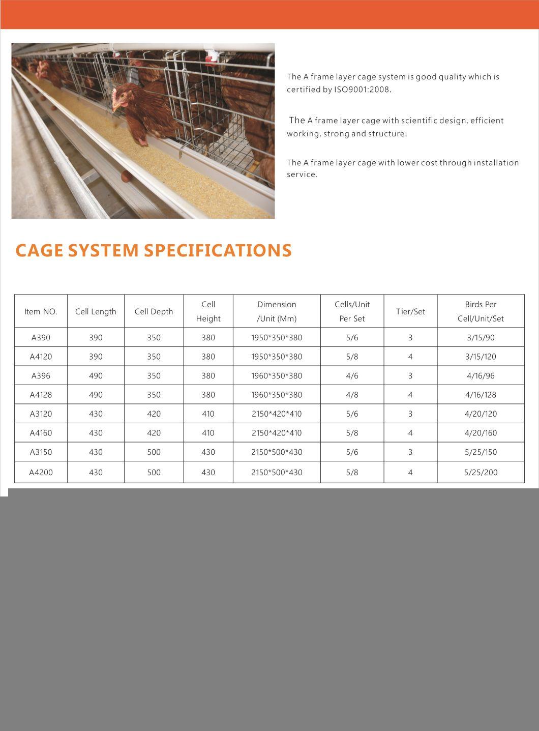 Good Quality Layer Chicken Cage Poultry Farm Equipment