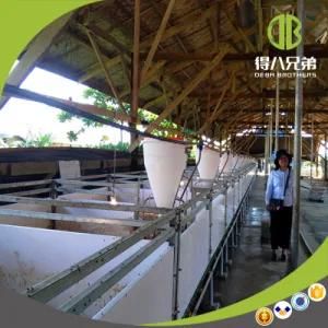 Low Price High Quality Pig Weaning Stall, You Deserve It