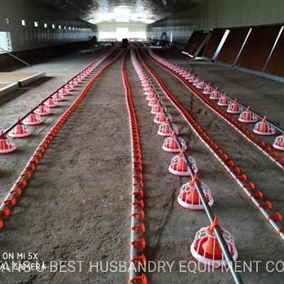 Chicken Feeding System Full Set of Chicken Farm Equipment for Sale