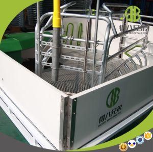 New Crate Design Open Pen for Sow Use for Pig Farm