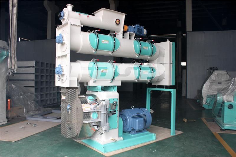Double Conditioner Poultry Feed Pellet Mill Equipment