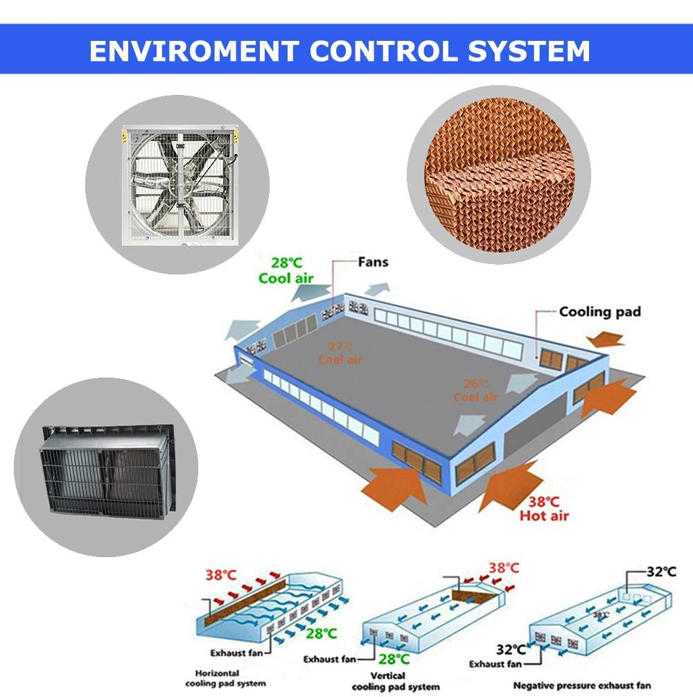 Hot Sale of H Type Broiler Chicken Cage Automatic Broiler Feeding Equipment for Broiler Chicken Cage