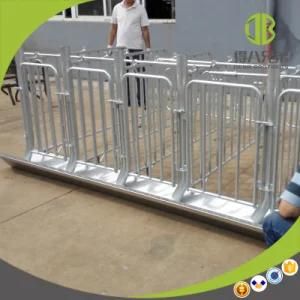 Deba Brothers Customized Newly Type of Gestation Stall or Individual Stall for Sale