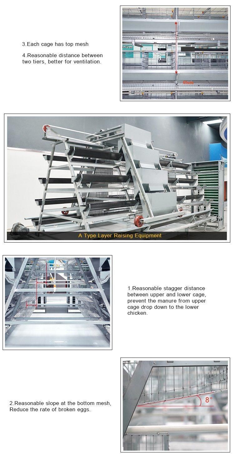 Poultry Equipment Type a Stepped Laying Chicken Cage