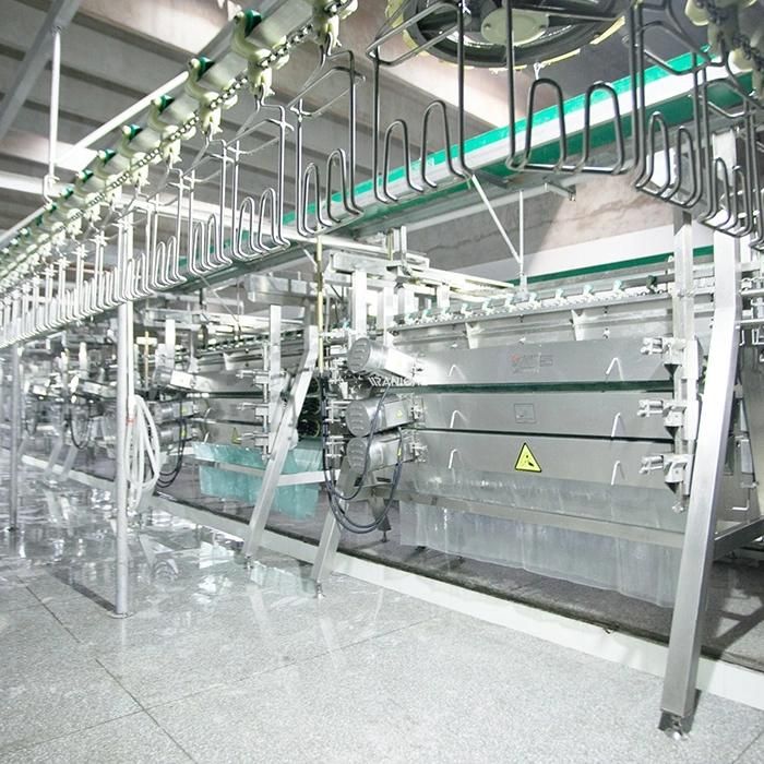 Broiler Duck Poultry Slaughter/Duck Processing Equipment Slaughter