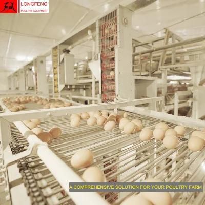 Longfeng Local After-Sale Service in Asia Equipment Poultry Farm Layer Cages