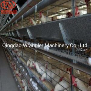 Chicken Cage H Type Layer System/ Poultry Battery Cage Equipment