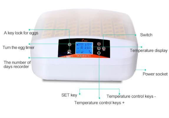 Hhd LED Egg Tester for 56A Chicken Egg Hatching Machine Price for Sale