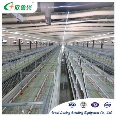 Complete Automatic Layer Egg Chicken Cage Poultry Farm House Design Equipment for Coop Chicken